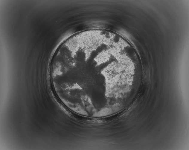 X0000086011235200704131820