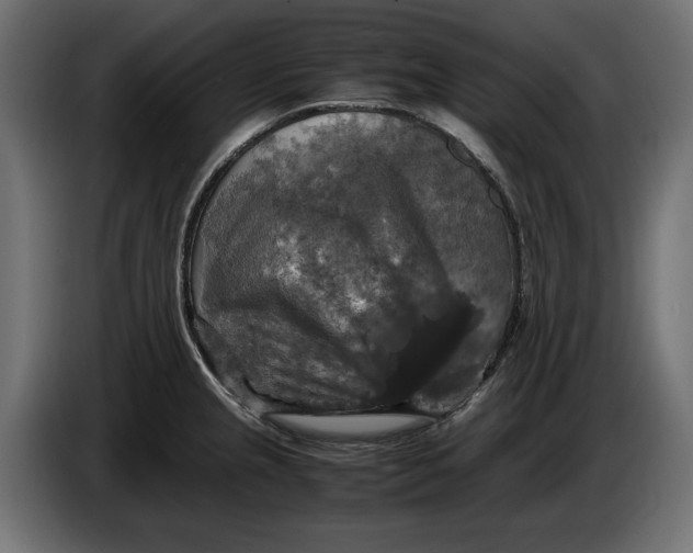 X0000086011237200704131820