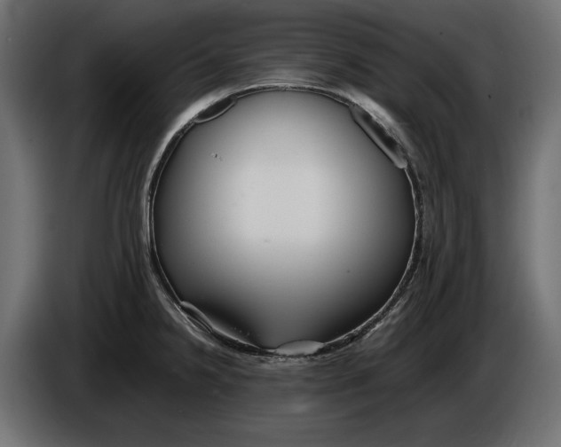 X0000086011238200704131820