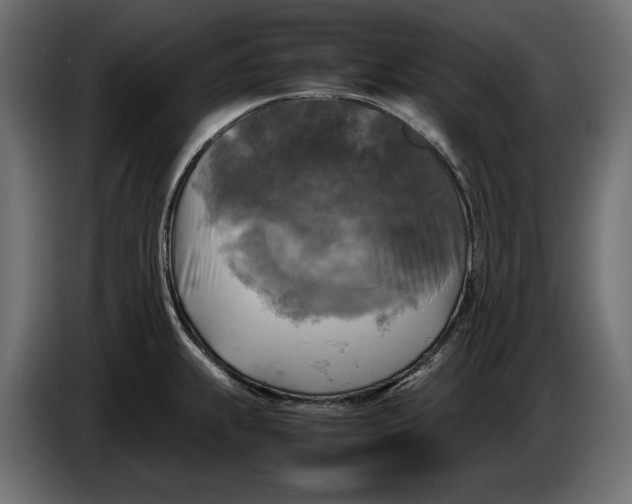 X0000086011239200704131820