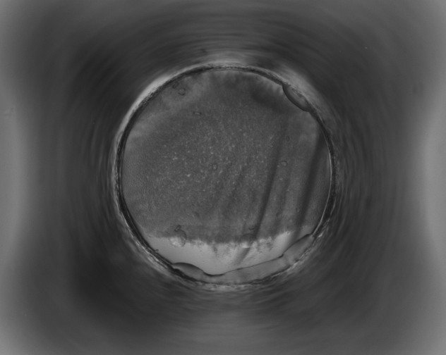 X0000086011240200704131820