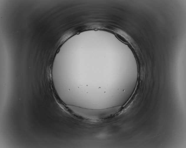 X0000086011241200704131820