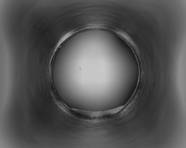 X0000086011242200704131820