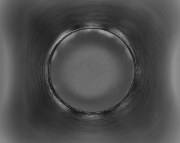 X0000086011243200704131820