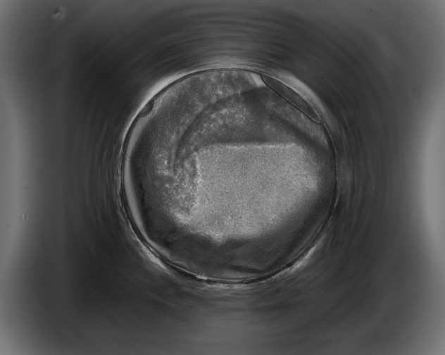 X0000086011244200704131820