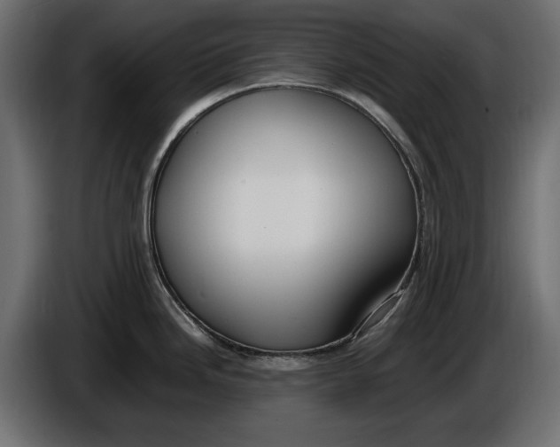 X0000086011246200704131820