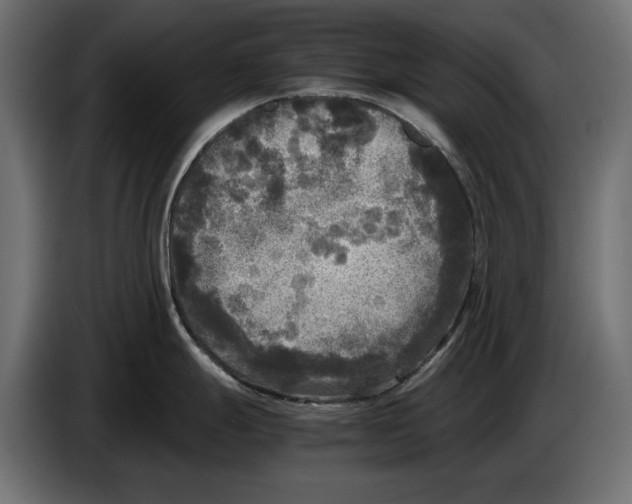 X0000086011247200704131820