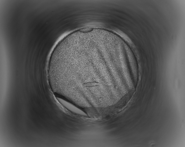 X0000086011248200704131820