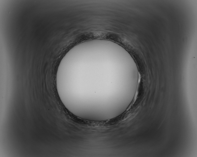X0000086011249200704131820