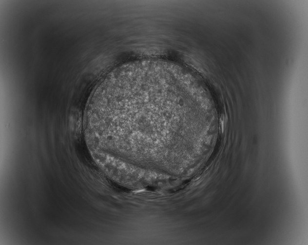 X0000086011251200704131820
