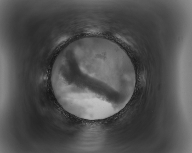 X0000086011254200704131820