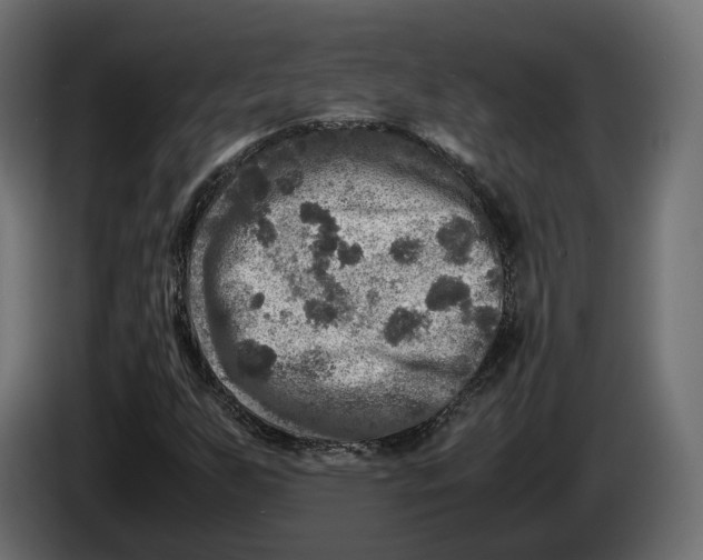 X0000086011255200704131820