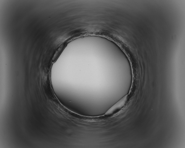 X0000086011257200704131820