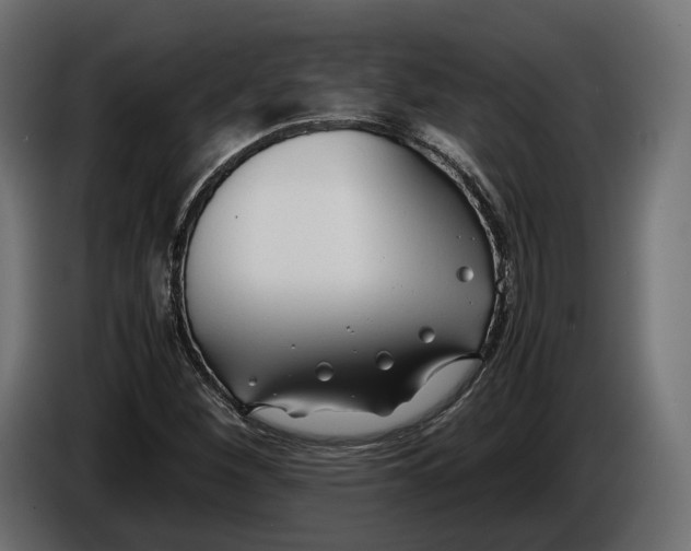 X0000086011260200704131820