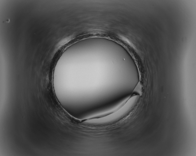X0000086011261200704131820
