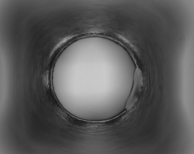 X0000086011262200704131820