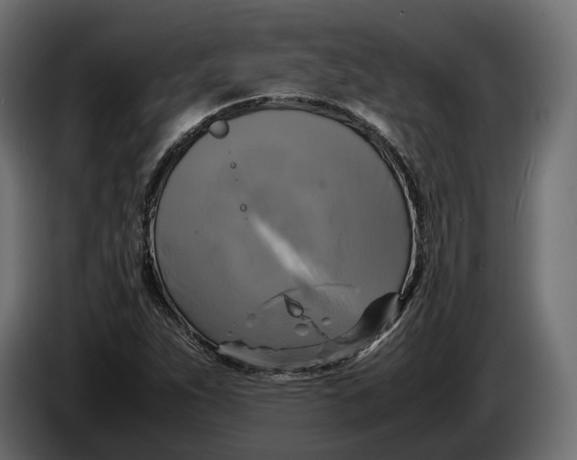 X0000086011263200704131820