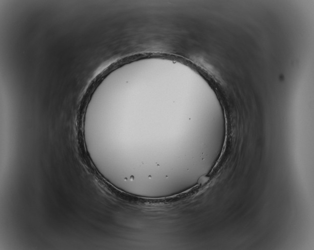 X0000086011264200704131820