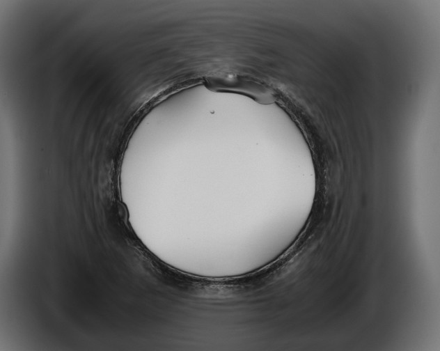 X0000086011265200704131819