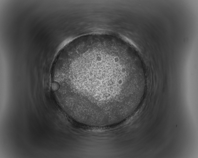 X0000086011267200704131819
