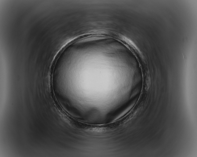 X0000086011268200704131819
