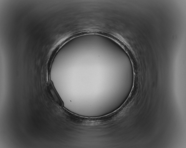 X0000086011269200704131819
