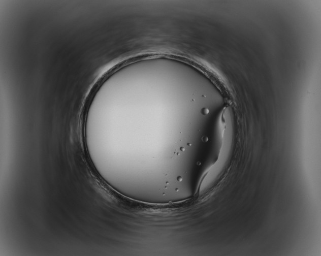 X0000086011272200704131819