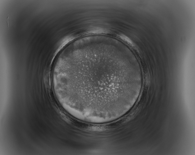 X0000086011274200704131819