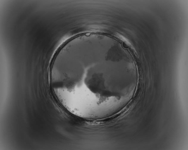X0000086011275200704131819