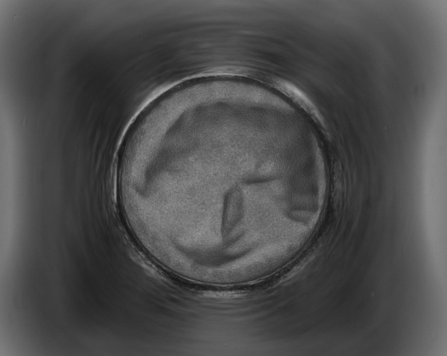 X0000086011276200704131819