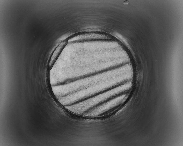 X0000086011277200704131819