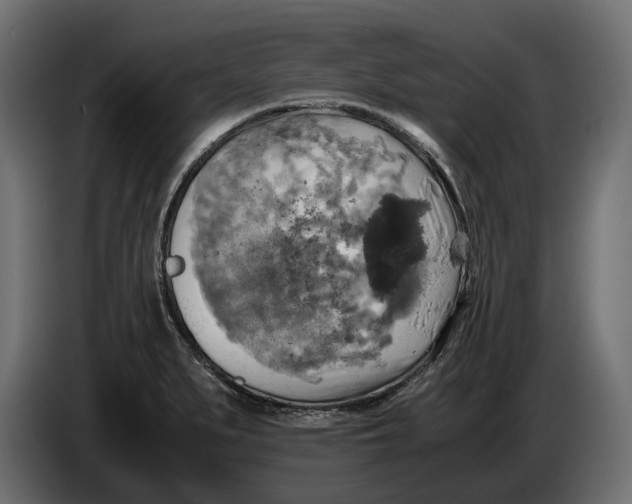 X0000086011279200704131819