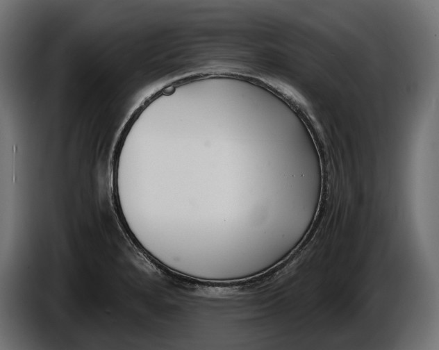 X0000086011280200704131819