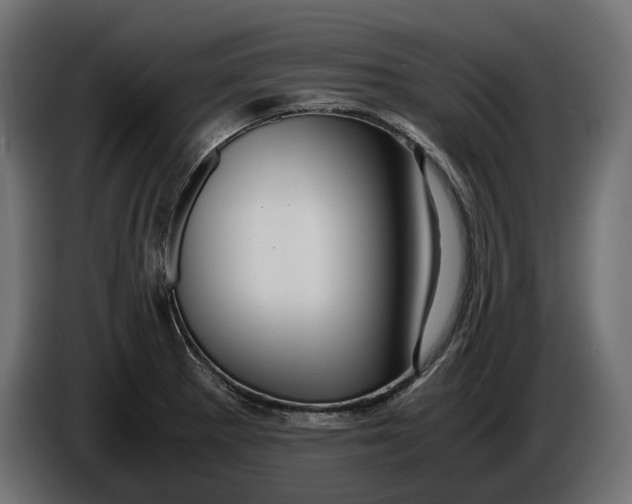 X0000086011281200704131819