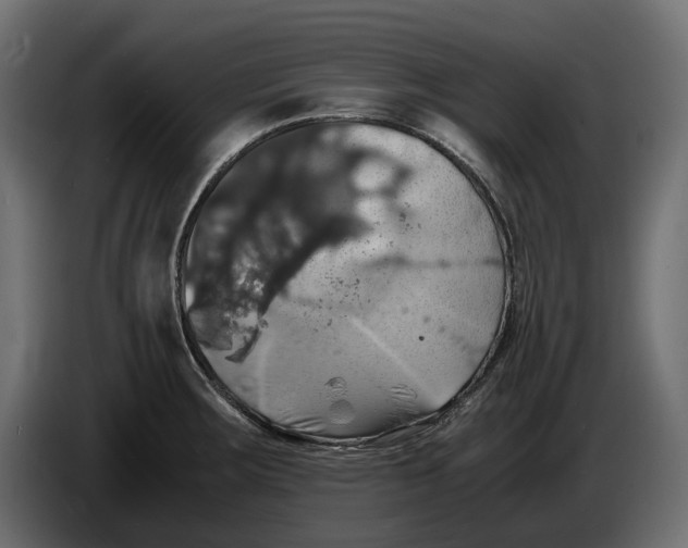 X0000086011283200704131819