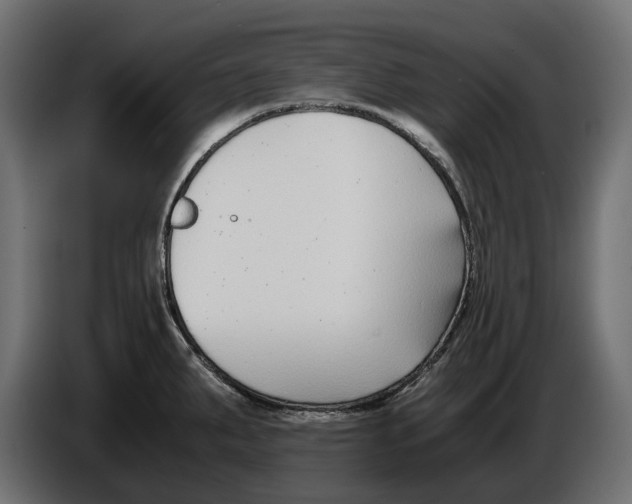 X0000086011287200704131819