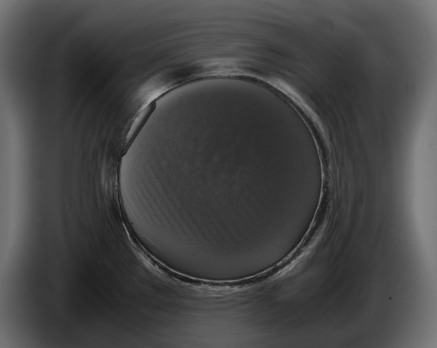 X0000086011289200704131819