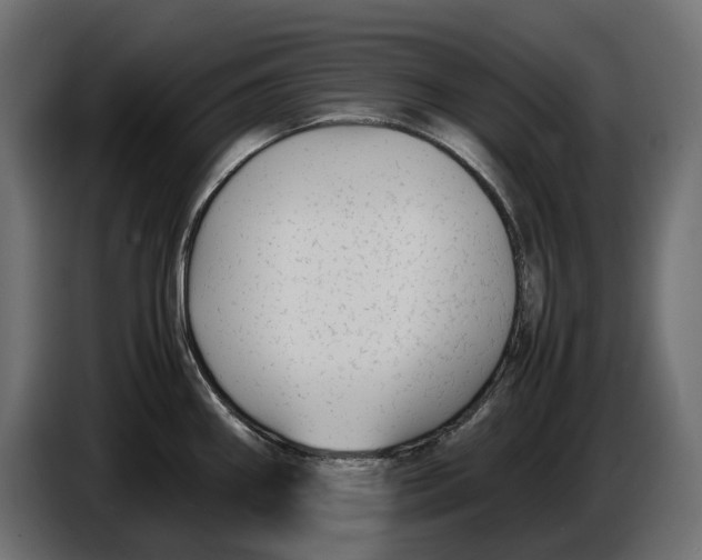 X0000086011290200704131819