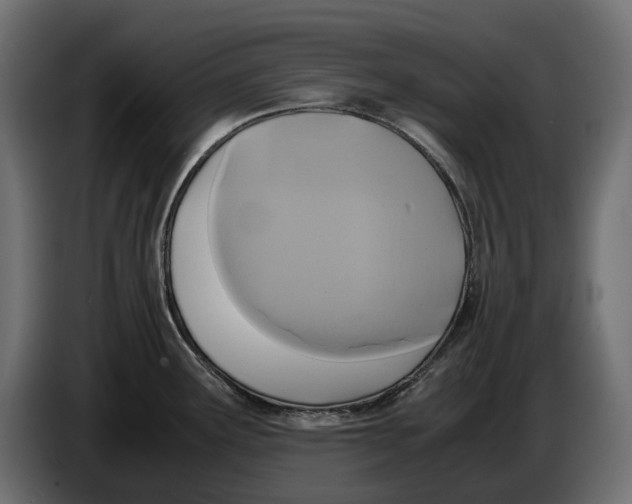 X0000086011291200704131819