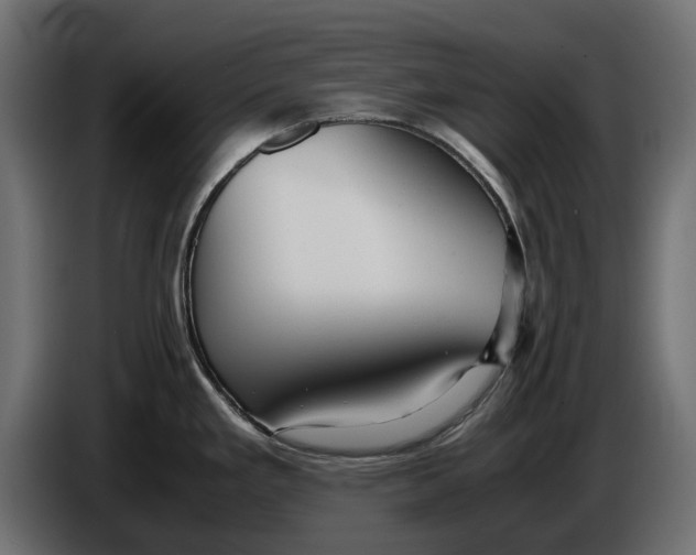 X0000086011293200704131819
