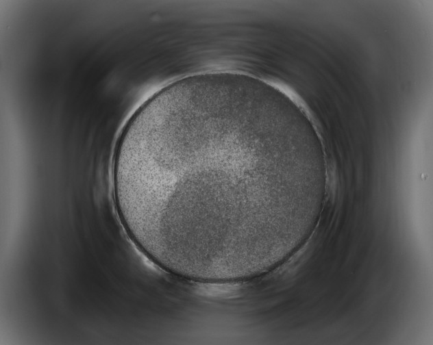 X0000086011294200704131819