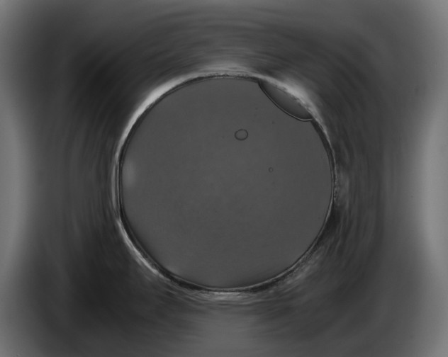 X0000086011295200704131819
