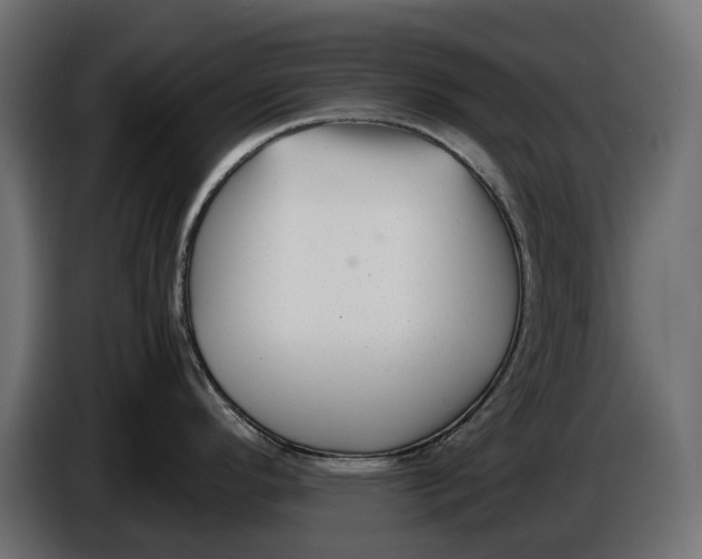 X0000086011296200704131819