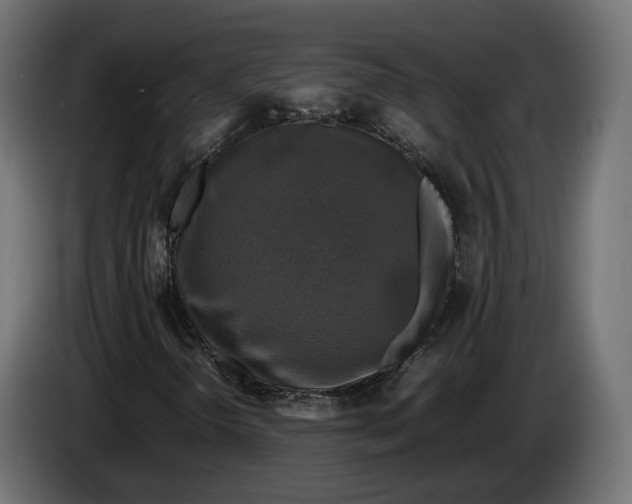 X0000086011298200704131818
