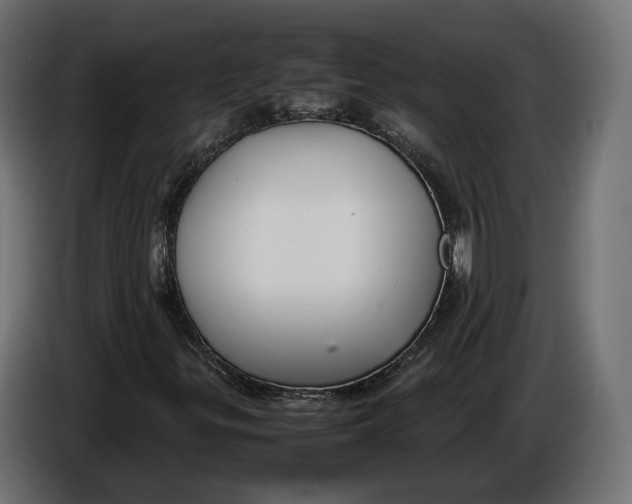 X0000086011299200704131818