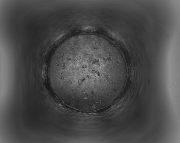 X0000086011301200704131818