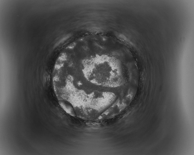 X0000086011302200704131818