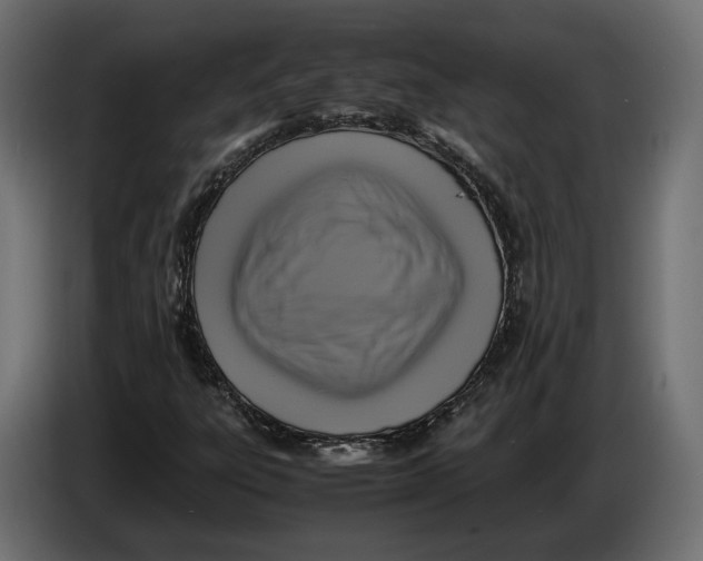 X0000086011303200704131818