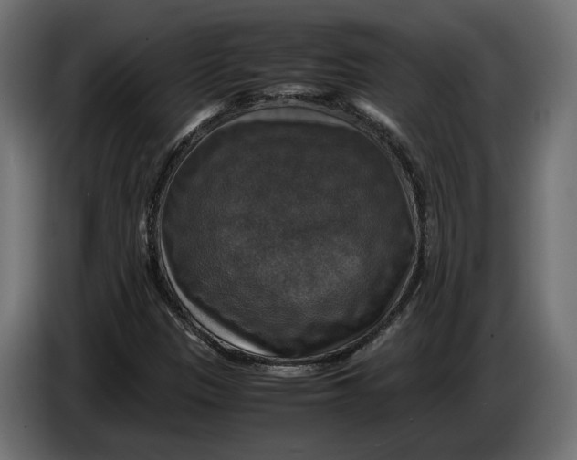 X0000086011305200704131819