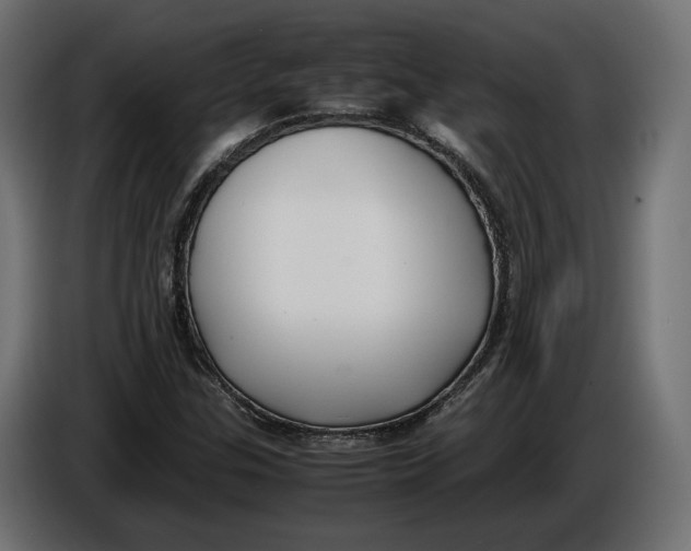 X0000086011307200704131819